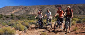 Mountain Biking