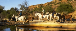 Horse-Riding
